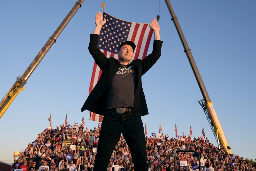 elon musk new party