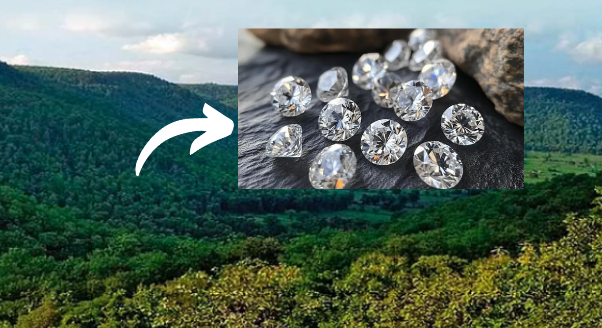 MP diamonds treasury