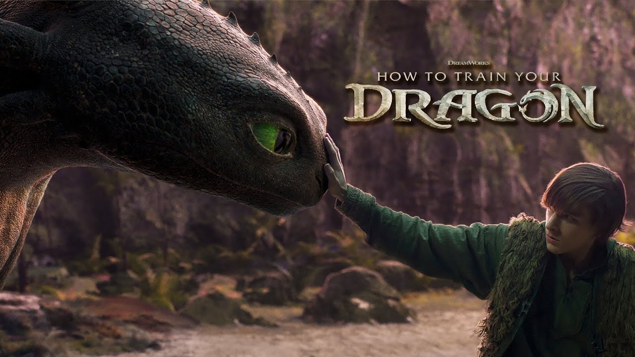 Cinema hit how to train your dragon