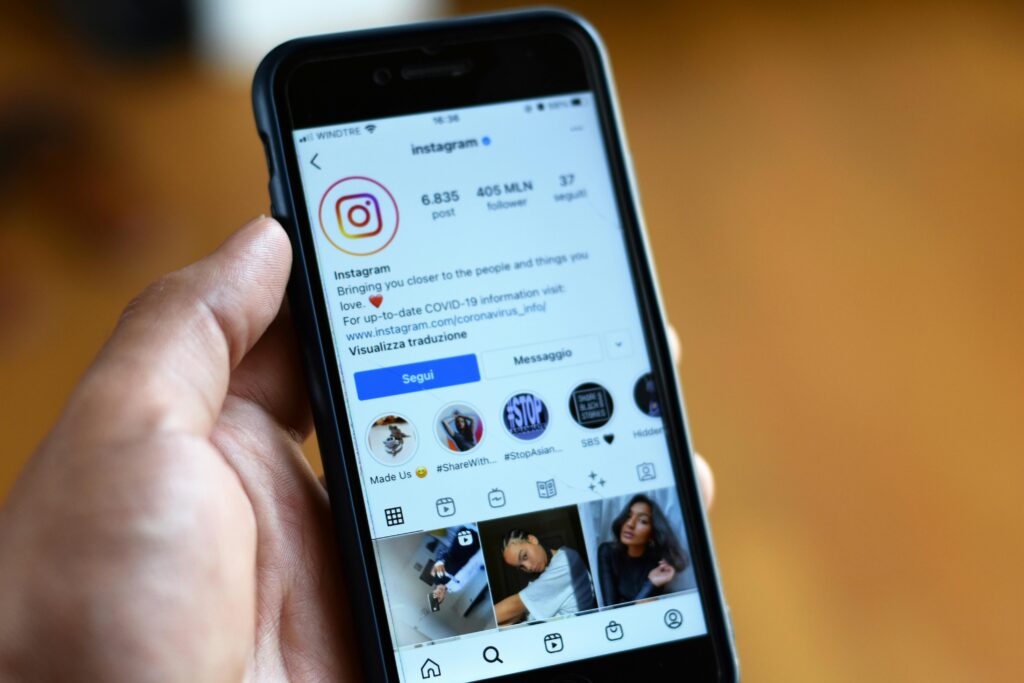 Influencers fake followers finding