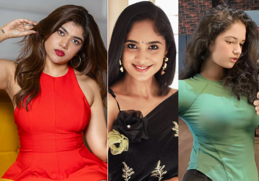 Bigg Boss 9 Contestants